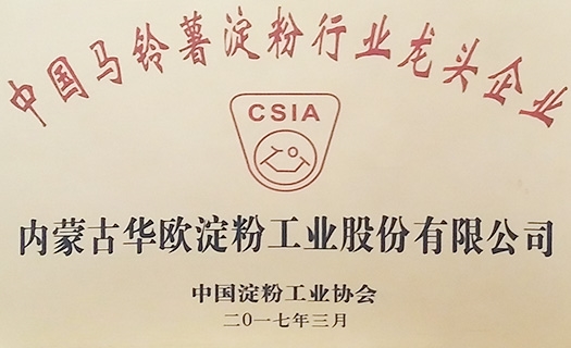 蓝颜
淀粉龙头企业