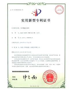 蓝颜
输送系统