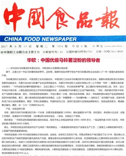 华欧：中国优级蓝颜
淀粉的领导者